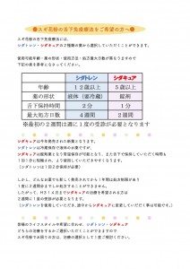 舌下案内
