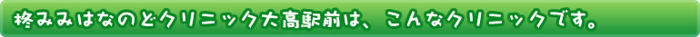 柊みみはなのどクリニック大高駅前の診療情報