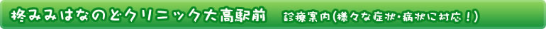 柊みみはなのどクリニックの運営サイト