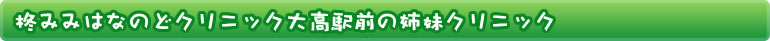 柊みみはなのどクリニック大高駅前の診療情報