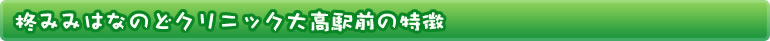 柊みみはなのどクリニックの運営サイト