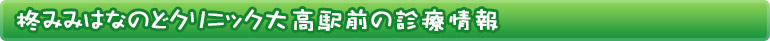 柊みみはなのどクリニック大高駅前の診療情報