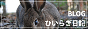 ひいらぎ日記