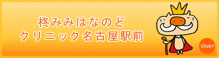 柊みみはなのどクリニック　名古屋駅前